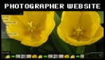 xml template photographer website photo gallery xml template photographer website photo gallery