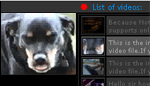 Xml driven flv player