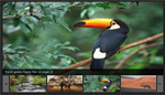 Horizontal xml gallery - Blur transition Horizontal xml gallery - Blur transition