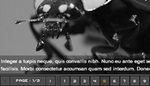 Blur Slideshow V1.0 
