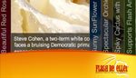 Autoplay Accordion Slide Show 