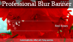 Professional Blur Banner 