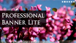 Professional Banner Lite 